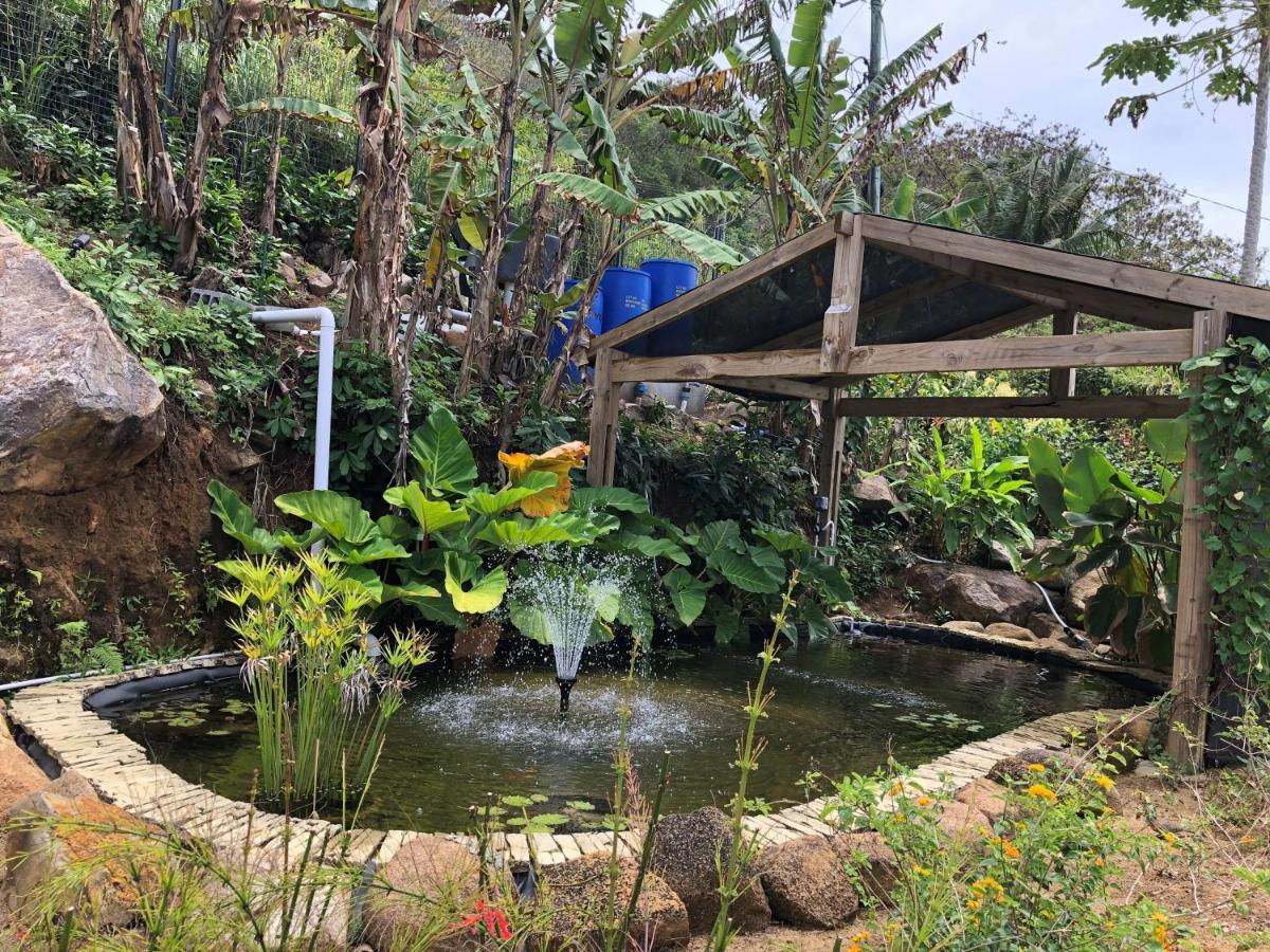 Paradise Chalets Yoga & Wellness Takamaka Bagian luar foto