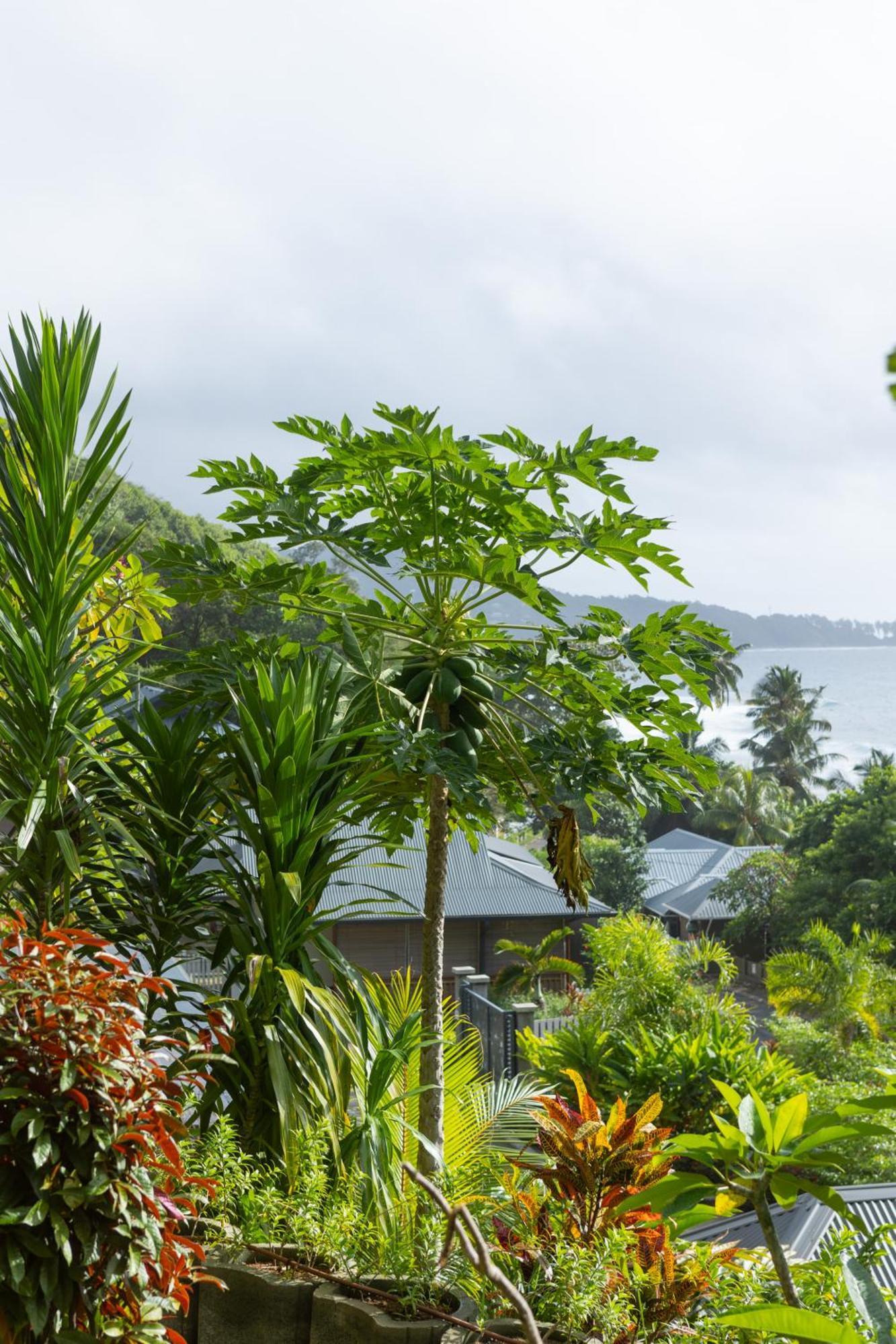 Paradise Chalets Yoga & Wellness Takamaka Bagian luar foto