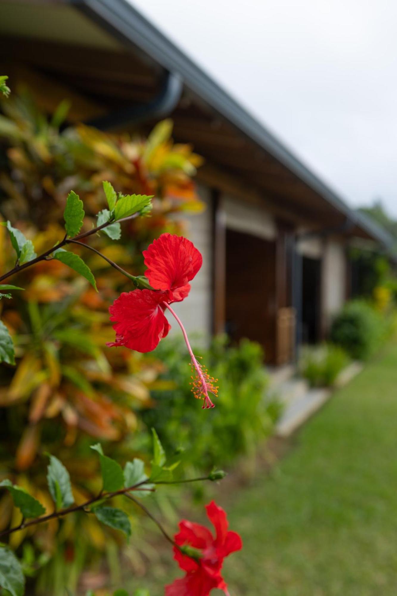 Paradise Chalets Yoga & Wellness Takamaka Bagian luar foto