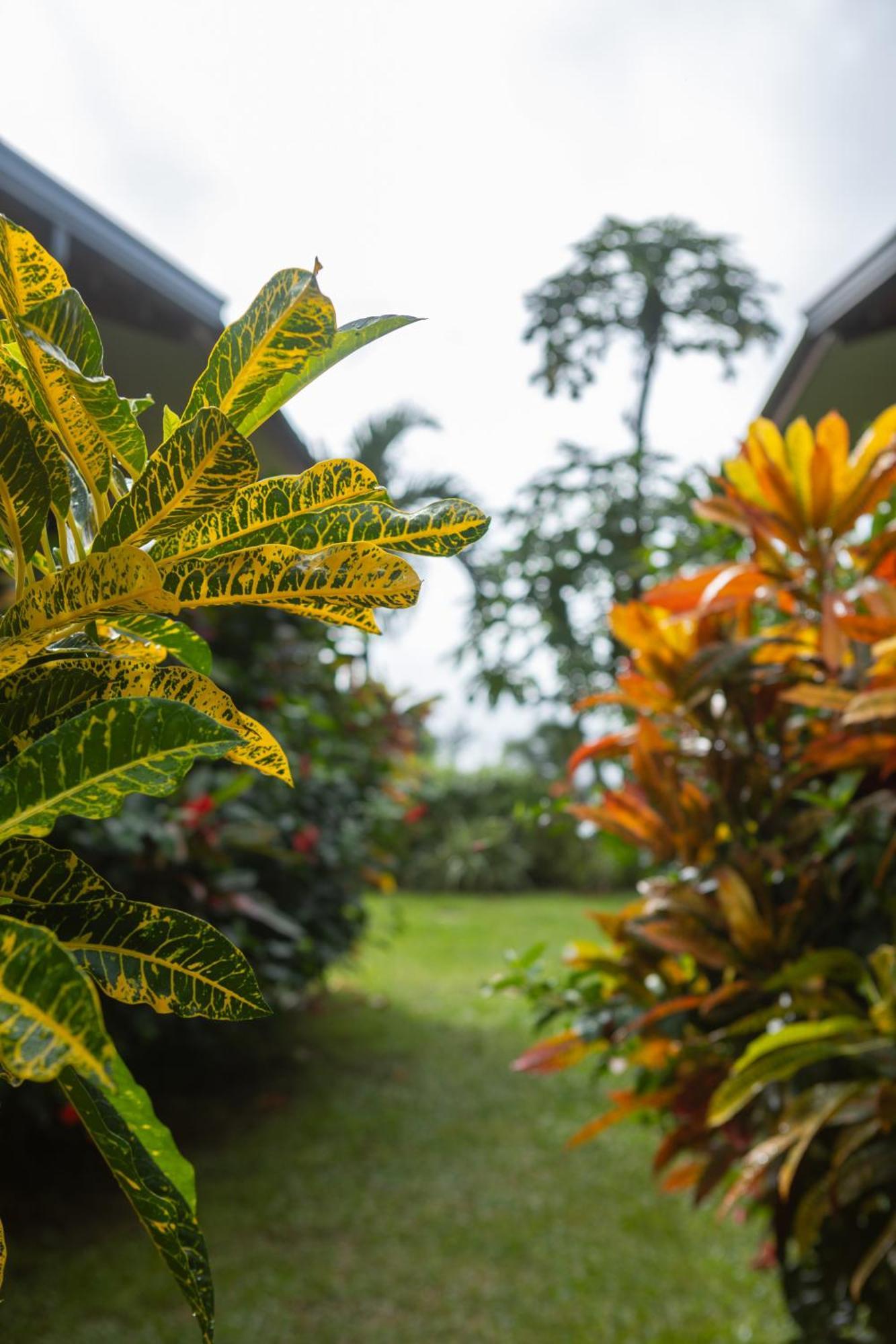 Paradise Chalets Yoga & Wellness Takamaka Bagian luar foto